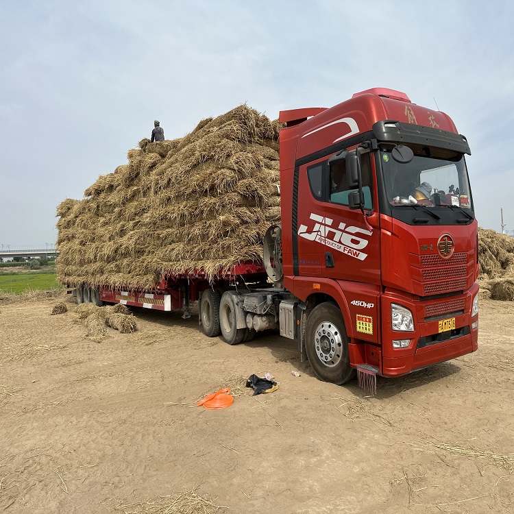 宁夏蕾丝视频APP下载厂家 宁夏蕾丝视频APP下载厂家