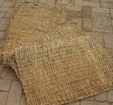 宁夏草支垫 宁夏草支垫