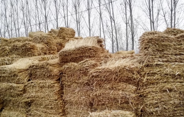 宁夏蕾丝视频官网厂家 宁夏蕾丝视频官网厂家