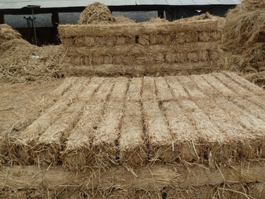 宁夏草棒子厂家 宁夏草棒子厂家