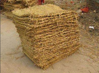 宁夏蕾丝视频官网 宁夏蕾丝视频官网