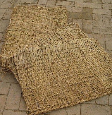 宁夏草支垫 宁夏草支垫