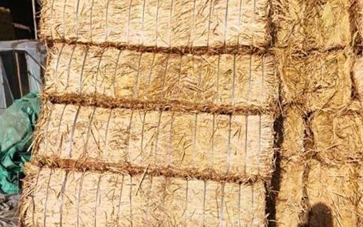 宁夏草支垫 宁夏草支垫