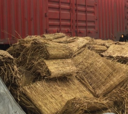 宁夏蕾丝视频APP下载 宁夏蕾丝视频APP下载