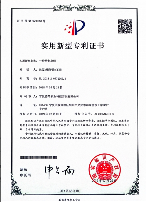 宁夏蕾丝视频在线观看污子 宁夏蕾丝视频在线观看污子