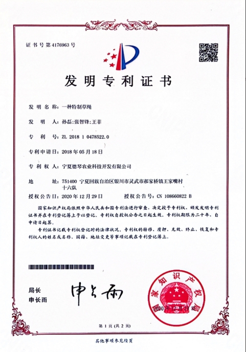 宁夏蕾丝视频在线观看污 宁夏蕾丝视频在线观看污