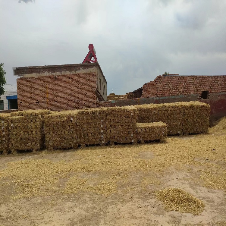 宁夏蕾丝视频APP下载子 宁夏蕾丝视频APP下载子