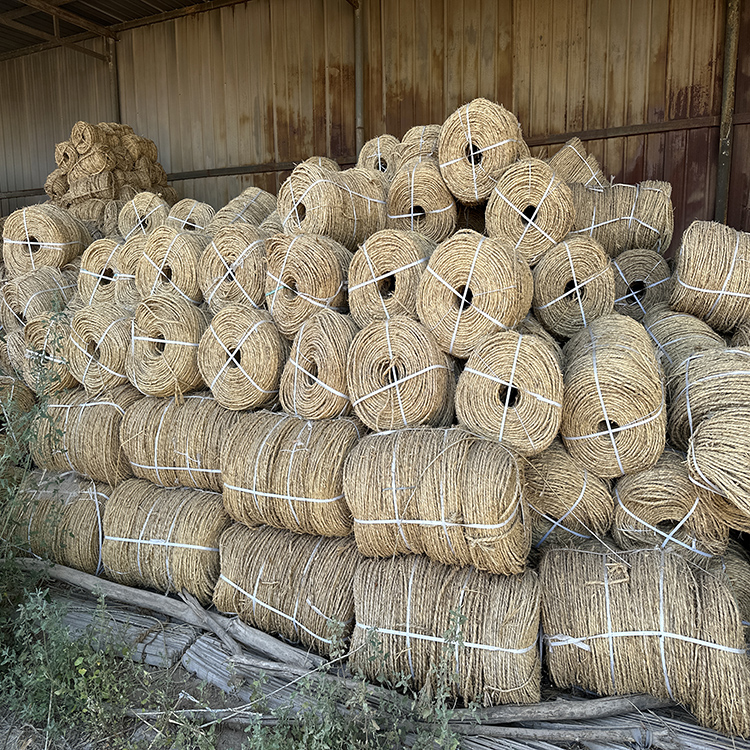 宁夏蕾丝视频在线观看污 宁夏蕾丝视频在线观看污
