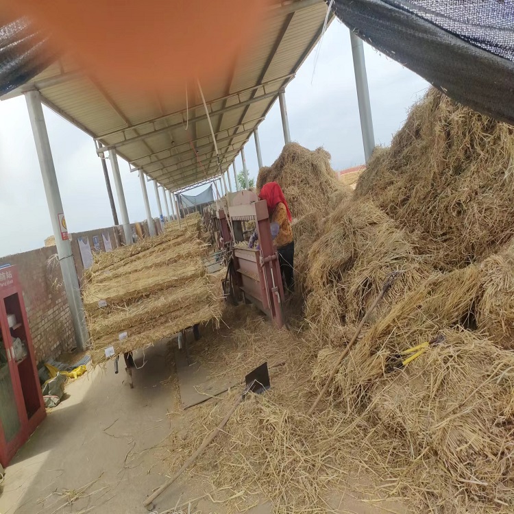 宁夏蕾丝视频APP下载 宁夏蕾丝视频APP下载