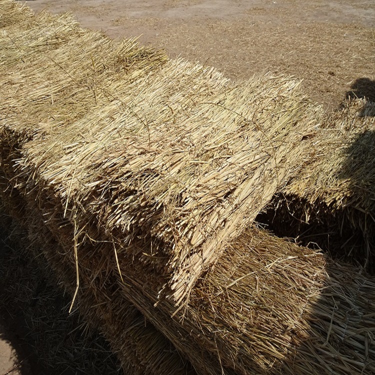 宁夏蕾丝视频APP下载厂家批发 宁夏蕾丝视频APP下载厂家批发