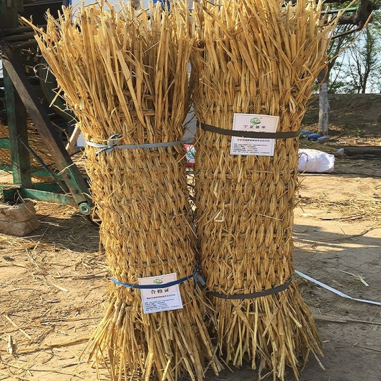 宁夏蕾丝视频APP下载子 宁夏蕾丝视频APP下载子