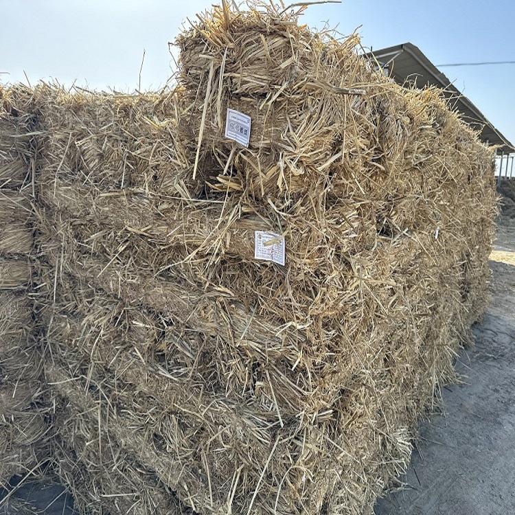 宁夏草支垫 宁夏草支垫